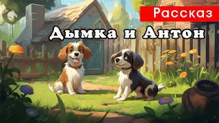 Дымка и Антон  Рассказ [upl. by Ahsinned]