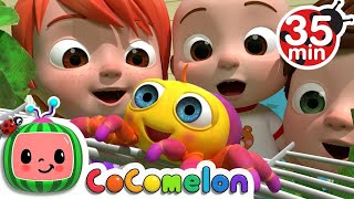 Itsy Bitsy Spider  Super Simple Songs  KIDS TV More Nursery Rhymes amp Kids Songs  CoComelon [upl. by Anilocin]