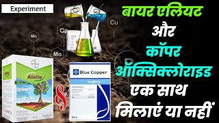 Bayer Aliette  Copper oxychloride Syngenta Blue Copper  Mixing Experiment Bayer [upl. by Base]