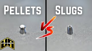 Pellets VS Slugs  Which One Is For You [upl. by Anitahs]