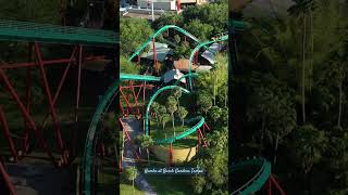 Kumba At Busch Gardens Tampa [upl. by Gnay423]