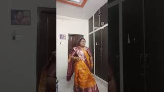 Chaila chaila shankar dada mbbs telugu song [upl. by Wells]