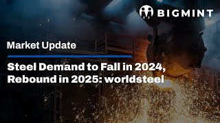 Steel Demand to Fall in 2024 Rebound in 2025 worldsteel [upl. by Ma]