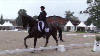 GN de Rosieres aux Saline  Thierry Marais  et Hippothicaire [upl. by Annaierb]