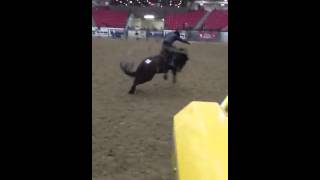 Crawleys Crash Nocona Ride em Cowboy [upl. by Aes]