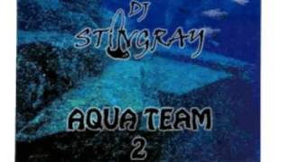 Dj Stingray  Potential [upl. by Suirada]