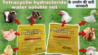 tetracycline hydrochloride water soluble vet uses in hindi veterinarymedicinereviewhindi [upl. by Sayre]