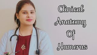 Clinical Anatomy of Humerus  Common site for fracture  volkmanns ischaemic contracture [upl. by Squires246]