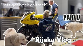 Rijeka Vlog  Es gefällt euch nicht aber es muss sein quotLet´s get back on trackquot [upl. by Enairda]