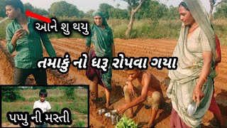 તમાકું નો ધરૂ રોપવા ગયા Tamaku No Dharu Ropava Gaya  Farmersvideo [upl. by Doroteya977]