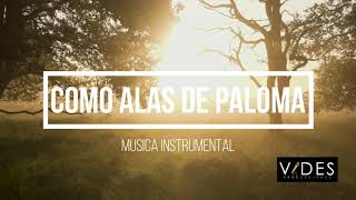 MUSICA INSTRUMENTAL  COMO ALAS DE PALOMA [upl. by Tavis]