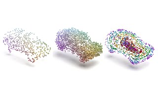 CaSPR Learning Canonical Spatiotemporal Point Cloud Representations NeurIPS 2020 [upl. by Bainbrudge]