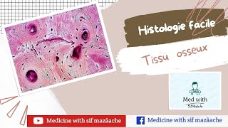 5 Le Tissu osseux  Histologie 1ère année MED [upl. by Eniksre]