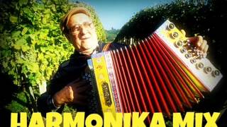 HARMONIKA MIX and REMIX Shomi DJ [upl. by Alegnatal]