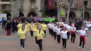 Concurs de colles sardanistes Balaguer Cobla Maravella 2024 [upl. by Ellatsyrc]