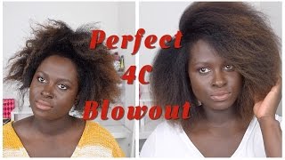 NATURAL HAIR BLOWOUT TIPS amp DETANGLING TRICKS  OHEMAA BONSU 3 [upl. by Eadahs]