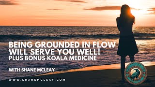 Being Grounded In Flow It Will Serve You Well On Your Journey and Bonus Koala Medicine [upl. by Odnumyer395]