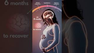 Why Pregnant Women Have Bigger Brains [upl. by Rattan628]