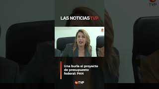 Critican los presupuestos para el 2025  Las Noticias TVP [upl. by Beffrey]