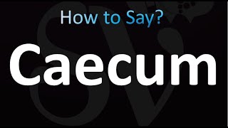 How to Pronounce Caecum correctly [upl. by Clemmy765]