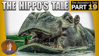 The Hippos Tale [upl. by Eelrebmyk]