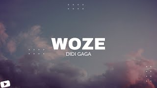 DIDI GAGA  WOZE  ዎዜ  New Ethiopian Music 2022 Official Audio Visualizer [upl. by Sivram294]