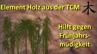 Gegen die Frühjahrsmüdigkeit  Element Holz aus der TCM hilft [upl. by Eladnwahs]