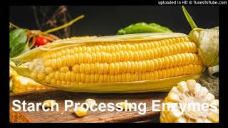 Starch Processing Enzymes Suppliers Glucoamylase Thermostable α–Amylase [upl. by Ecyar326]