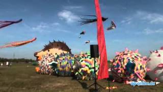 Fliegende Fische beim Drachenfest 2011 [upl. by Yard]