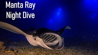 Manta Ray Night Dive  Keauhou Hawaii  May 2023 [upl. by Nialb887]