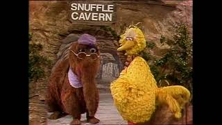 Sesame Street 1494 Street Scenes Big Bird stays overnight in Mr Snuffleupagus cave [upl. by Atilrep617]