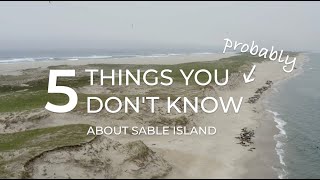 5 Things You Probably Dont Know About Sable Island [upl. by Josler685]