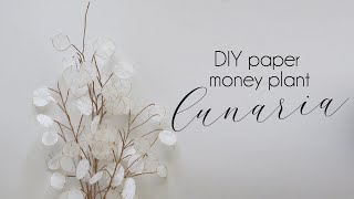 DIY How to make Paper Dried Lunaria Money Plant paper flowers [upl. by Ilujna]