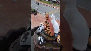 Jalan  jalan Kuching Sarawak  The famous cat statue kuching sarawak [upl. by Belsky]