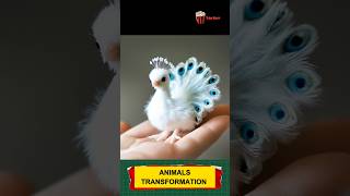 Animal before and after growing up trending animals funnyanimals animaltransformation [upl. by Hairahs710]