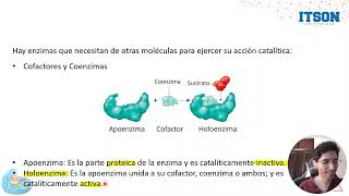 Componentes de la catalizis enzimática y clasificación de las Enzimas [upl. by Ennovahc]