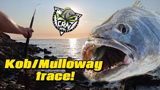 Check out my KobMulloway trace demonstration [upl. by Hars]