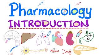 Pharmacology Intro  Pharmacokinetics Pharmacodynamics Autonomic Neuro Cardiac Respiratory GI [upl. by Kylah]