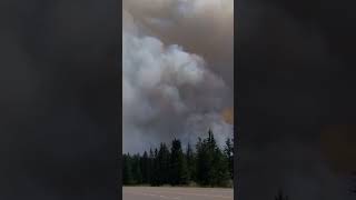 Jasper wildfire communitys worst nightmare mayor says [upl. by Grimbal]