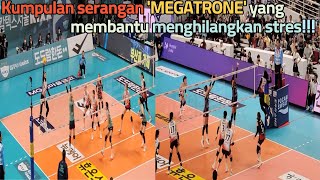 Kumpulan serangan MEGATRONE yang membantu menghilangkan stres volleyball mega megawati [upl. by Martinson]