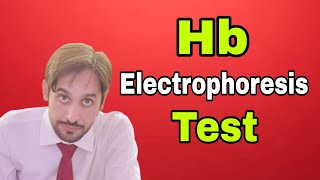 Hb Electrophoresis Test [upl. by Eiknarf]