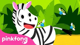 ¡Cebra Cadabra  🦓 Cebra  Canciones de Animales  Pinkfong Canciones Infantiles [upl. by Ramahs418]