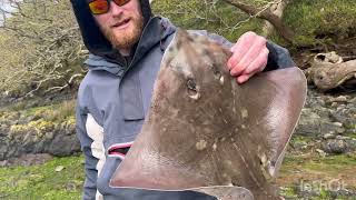 A couple of hours fishing up the cleddau river [upl. by Nazar]