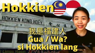 Malaysia Hokkien vs Indonesia Hokkien [upl. by Tecla]