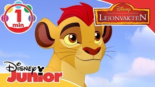 Lejonvakten  Musik Ena vårt land 🎶 Disney Junior Sverige [upl. by Brote]