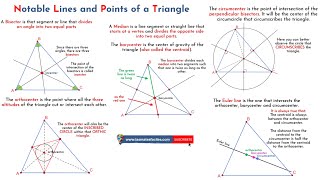 Notable Lines in a Triangle Angle and Perpendicular Bisector Median and Altitude  Complete Guide [upl. by Ahsirahc]