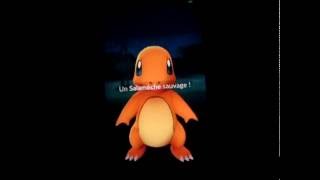 Pokemon go oeuf 2510km en masse et évolution de Tortank et Léviator [upl. by Angelita]