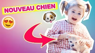 âťĄ 704  NOUVEAU CHIEN  đźŤ  Milababychou Vlog [upl. by Ailama]