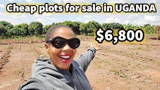 Affordable Land for sale in Uganda 😲 close to main road [upl. by Cathie611]