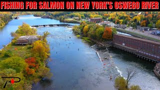 Oswego River Salmon Fishing [upl. by Chiou]